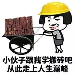 小伙子跟我学搬砖吧，从此走上人生巅峰