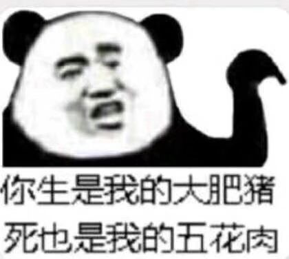 你生是我的大肥猪，死也是我的五花肉