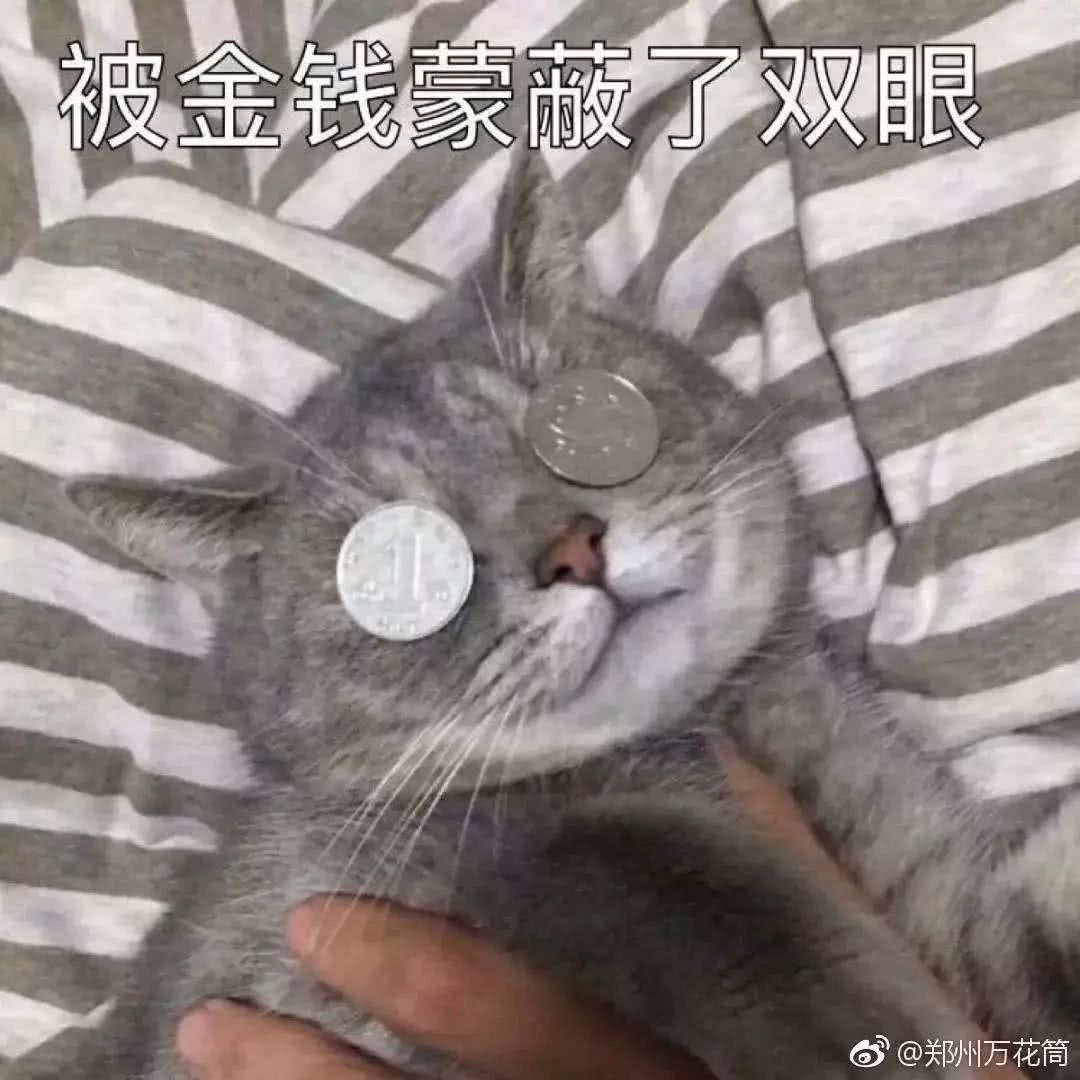 被金钱掌双眼