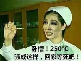 卧槽！250°C骚成这样，回家等死吧！