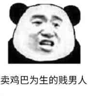 卖鸡巴为生的贱男人