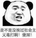 是不是没挨过社会主义毒打啊！傻屎！