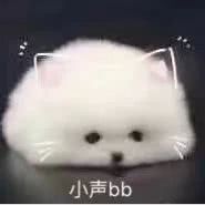 小声bb