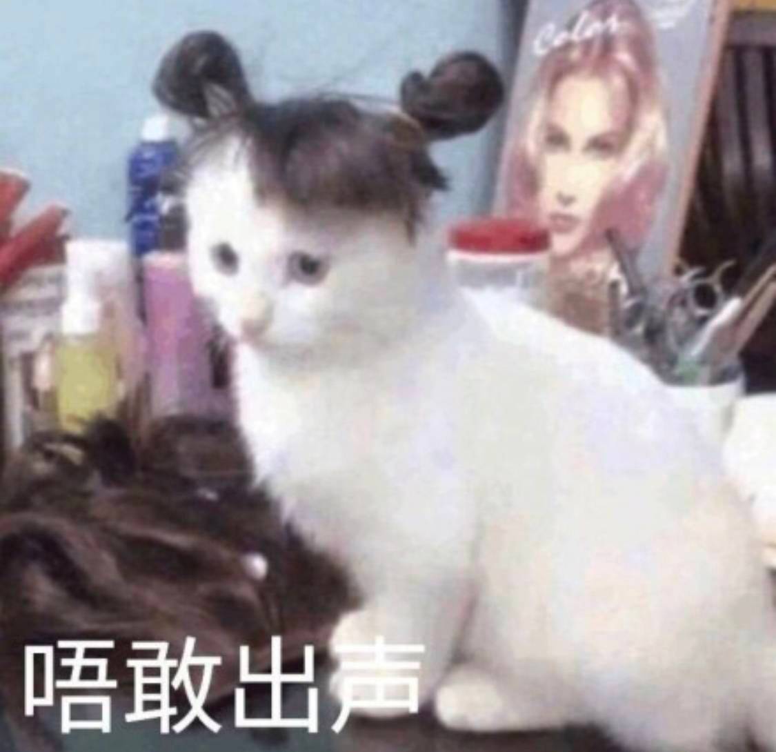 唔敢出声（可爱猫）