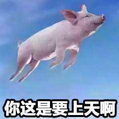 你这是要上天啊