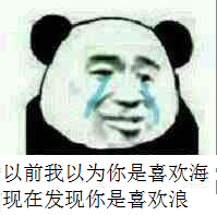 以前我以为你是喜欢海，现在发现你是喜欢浪