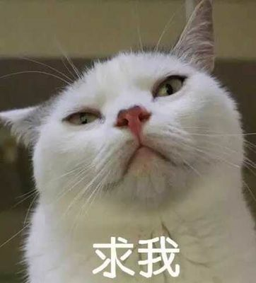 求我