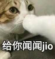 给你闻闻jio