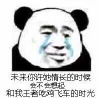 未来你许她情长的时候，会不会想起和我王者吃鸡飞车的时光