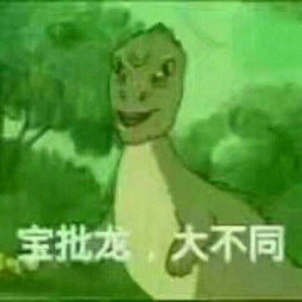 宝批龙大不同