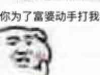 你为了富婆动手打我