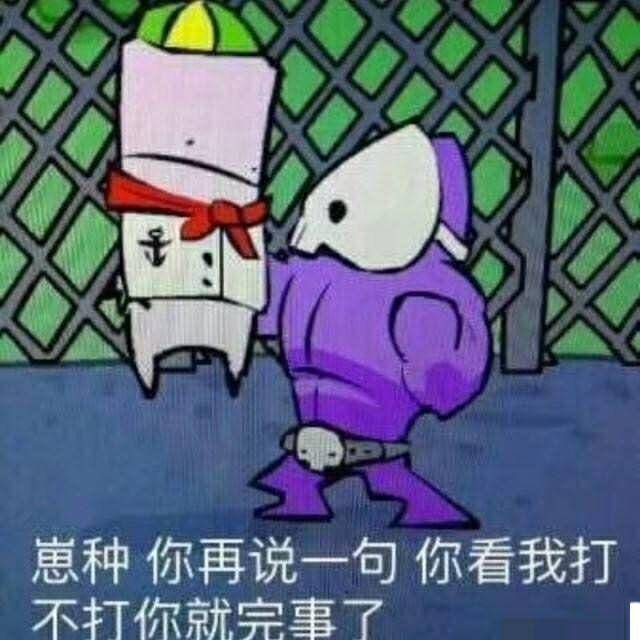 崽种，你再说一句，你看我打不打你就完事了