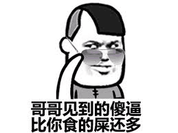 哥哥见到的傻逼，比你食的屎还多