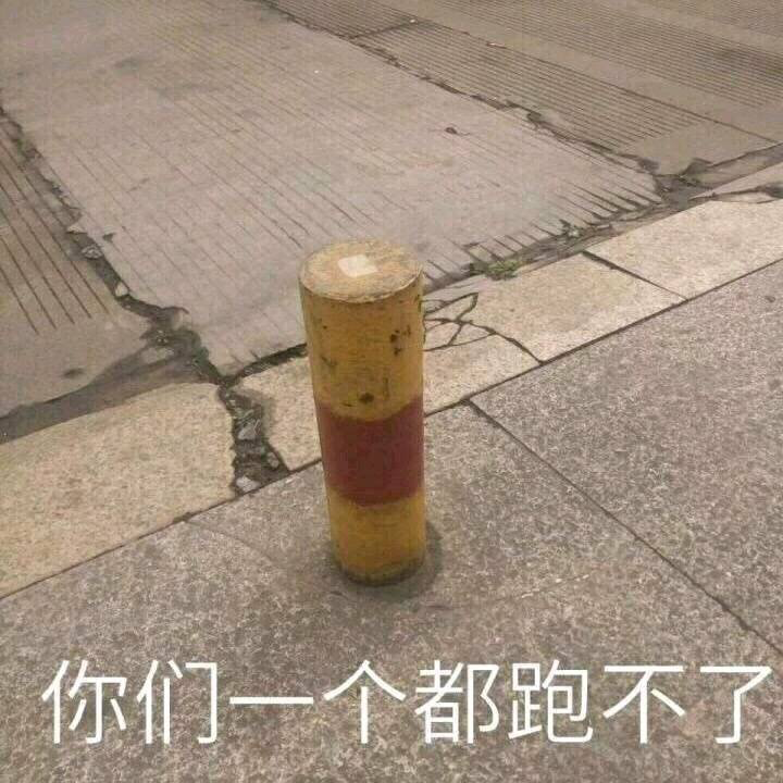 你们一全都跑不了