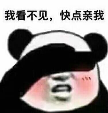 我看不见，快点亲我