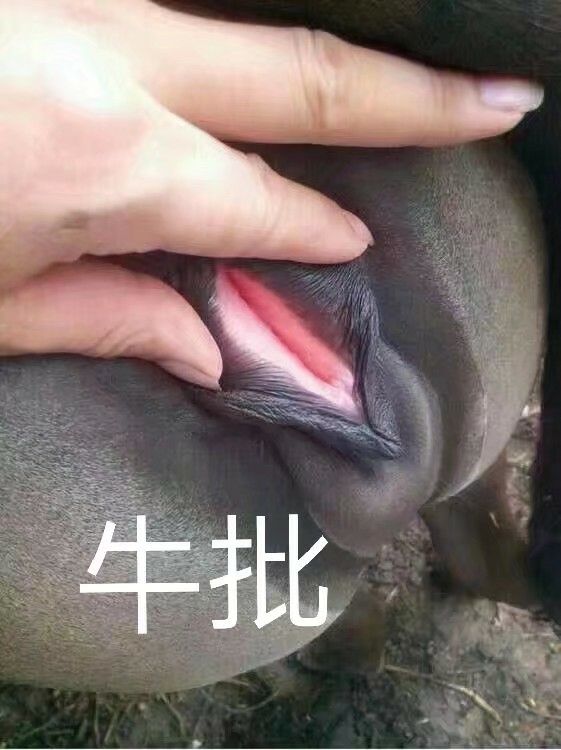 牛批