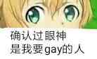 确认过眼神，是我要gay的人