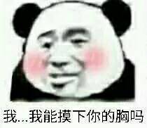 我、我能摸下你的胸吗