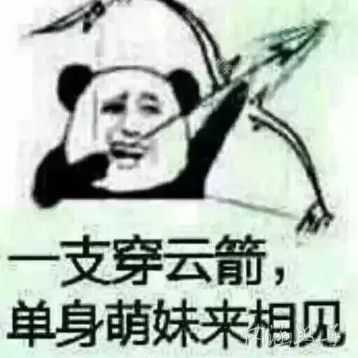 一支穿云箭，单身萌妹来相见