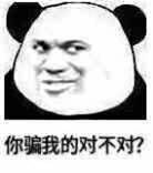 你骗我的对不对？