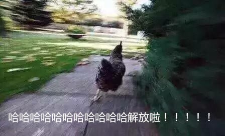 哈哈哈哈哈哈哈哈哈哈哈解放啦！！！！！