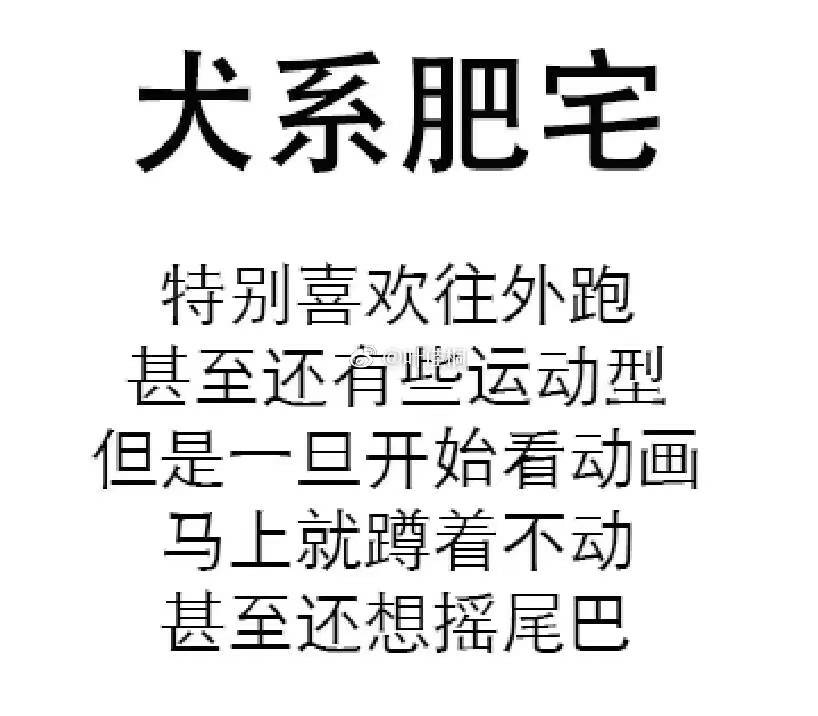 犬系肥宅