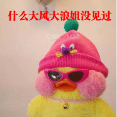 什么大风大浪姐没见过