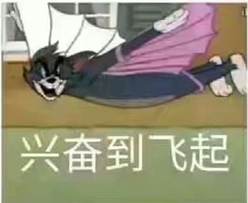 兴奋到飞起