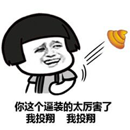 你这个逼装的太厉害了，我投翔我投翔