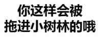 你这样会被拖进小树林的哦