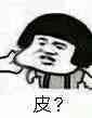 皮？