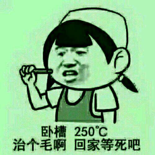 卧槽250°C治个毛啊，回家等死吧