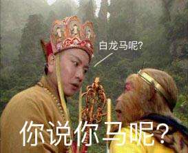 白龙马呢？你说你呢？