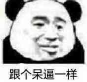 跟个呆逼一样