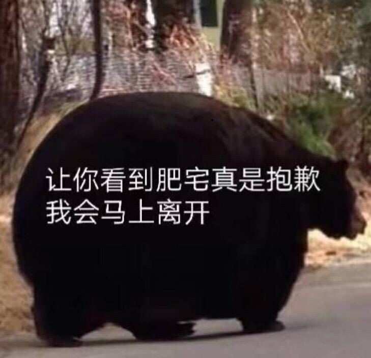 让你看到肥宅真是抱歉，我会马上离开