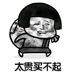 太贵买不起