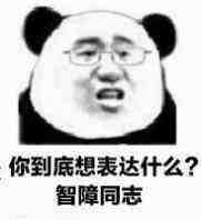 你到底想表达什么？智障同志