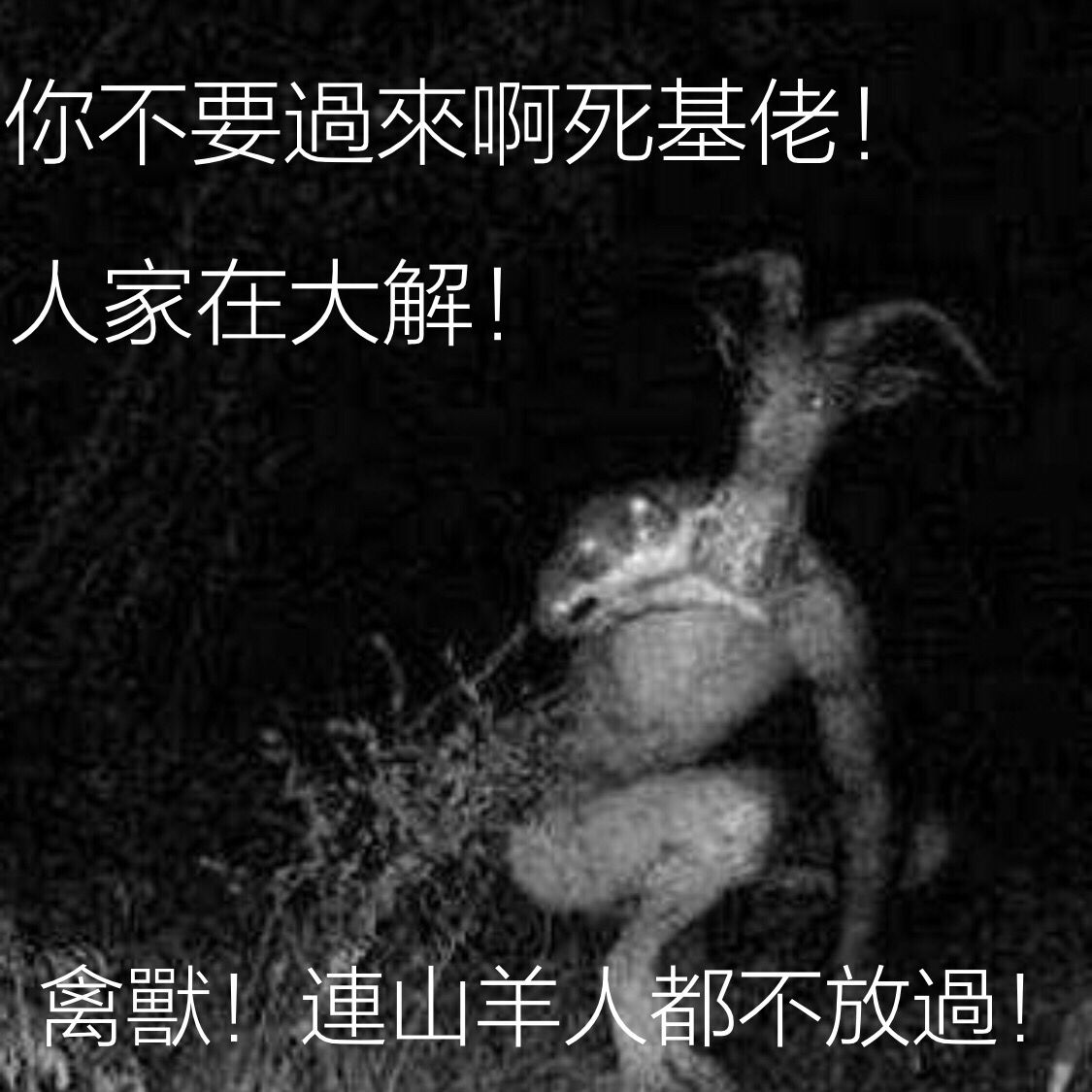 你不要过来啊，死基佬！人家在大解！