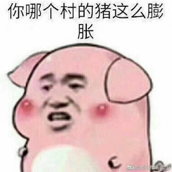 你哪个村的猪这么膨胀