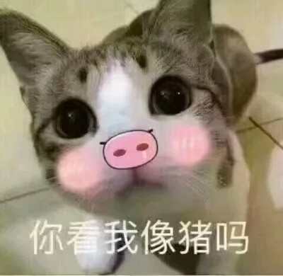 你看我像猪吗