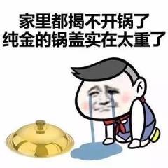 家里都揭不开锅了，纯金的锅盖实在太重了