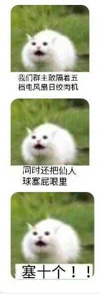 塞十个