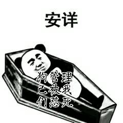 安详，狗管理已被我们怼死