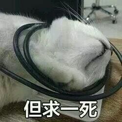 但求一死