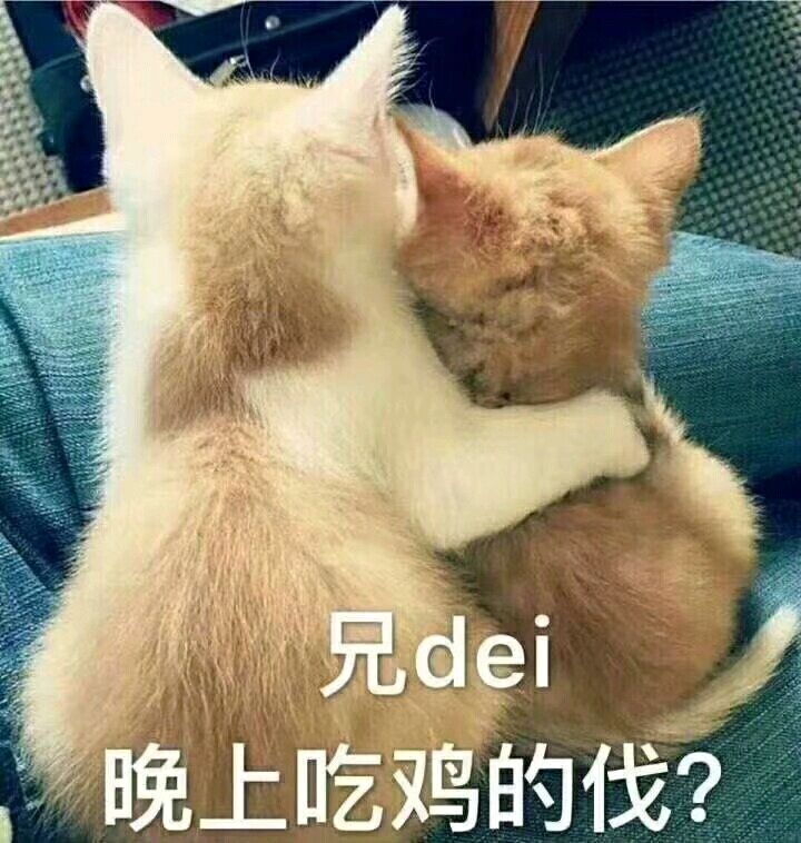 兄dei晚上吃鸡的伐？