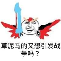 草泥马的，又想引发战争吗？