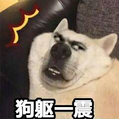 狗躯一震