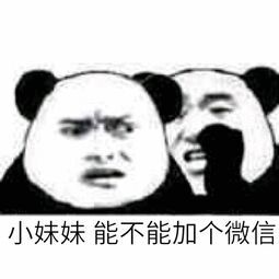 小妹妹能不能加个微信