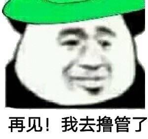 再见！我去撸管了