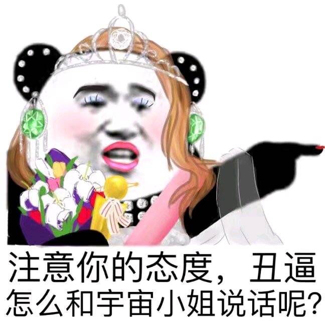 注意你的态度，丑逼怎么和宇宙小姐说话呢？